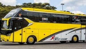 bigbus 1