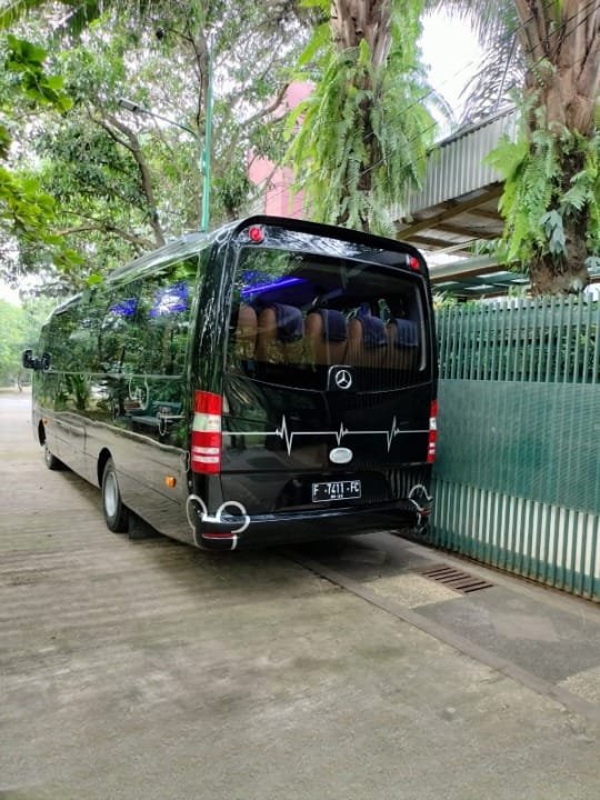 Sewa Medium Bus 28 Seat 2 Medium Bus 28 2