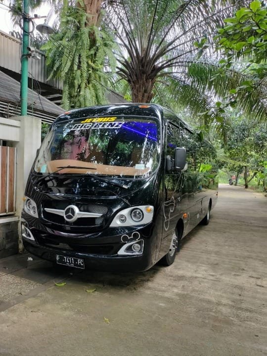 Sewa Medium Bus 28 Seat 1 Mercy Medium Bus