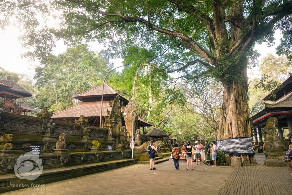 Ubud Monkey Forest