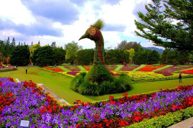 Taman Bunga Nusantara